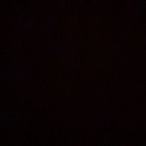 Meet your Posher, Dora